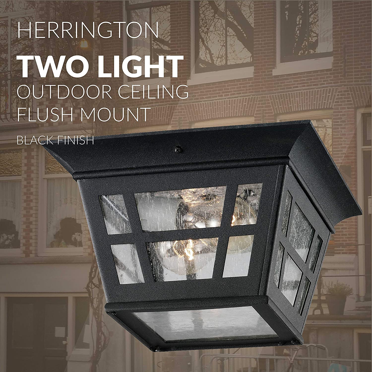 Cast Aluminum Outdoor Ceiling Lighting fixture with glass shade black ceiling lamp