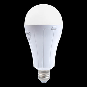 4 pack Outdoor Rechargeable Emergency LED Bulb, Battery driven E26 bulb with hook