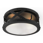 12 inch light round ceiling light fixture 2 light black cage Close to Ceiling Light