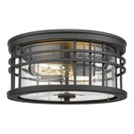 2-Light Farmhouse Semi Ceiling Light Fixture black industrial ceiling lamp