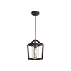 Industrial cage pendant light kit glass