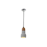Industrial Concrete pendant light wood pendant lamp
